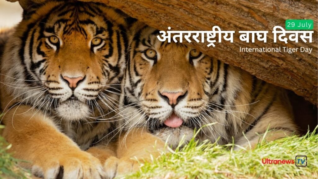 International Tiger Day | 29 July