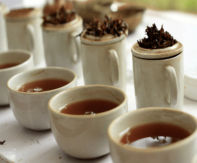सिक्किम चाय (Sikkim Tea) सिक्किम चाय (Sikkim Tea)